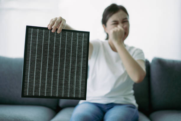 Best Air Vent Cleaning Services  in Felida, WA